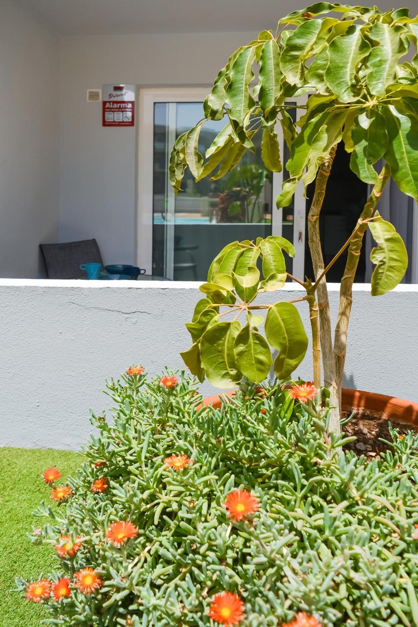 Paradise Palms I Deluxe, Incl. Welcome Package Corralejo Exterior foto